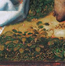 Detail, Virgin and Child with Saint James the Pilgrim, Saint Catherine and the Donor with Saint Peter c.1496
