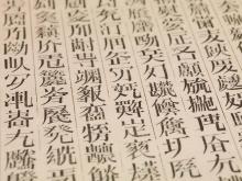 A detail view of text in a book from Xu Bing's 'A book from the sky' installation.