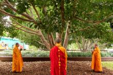 A view of the Bodhi tree growing outside the Gallery of Modern Art, with three Buddhist monks, dressed in orange, performing a blessing.