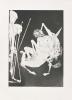 The sixteenth etching by Arthur Boyd from 'The Lady and The Unicorn' portfolio.