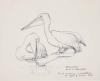 The fourth drawing study of Kathleen and Leonard Shillam's 'Pelicans' sculptures.