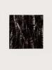The eighth gelatin silver photograph on paper in Carl Warner's 'Overwhatwecreatewehavenocontrol' series depicting a close-up image of foliage.