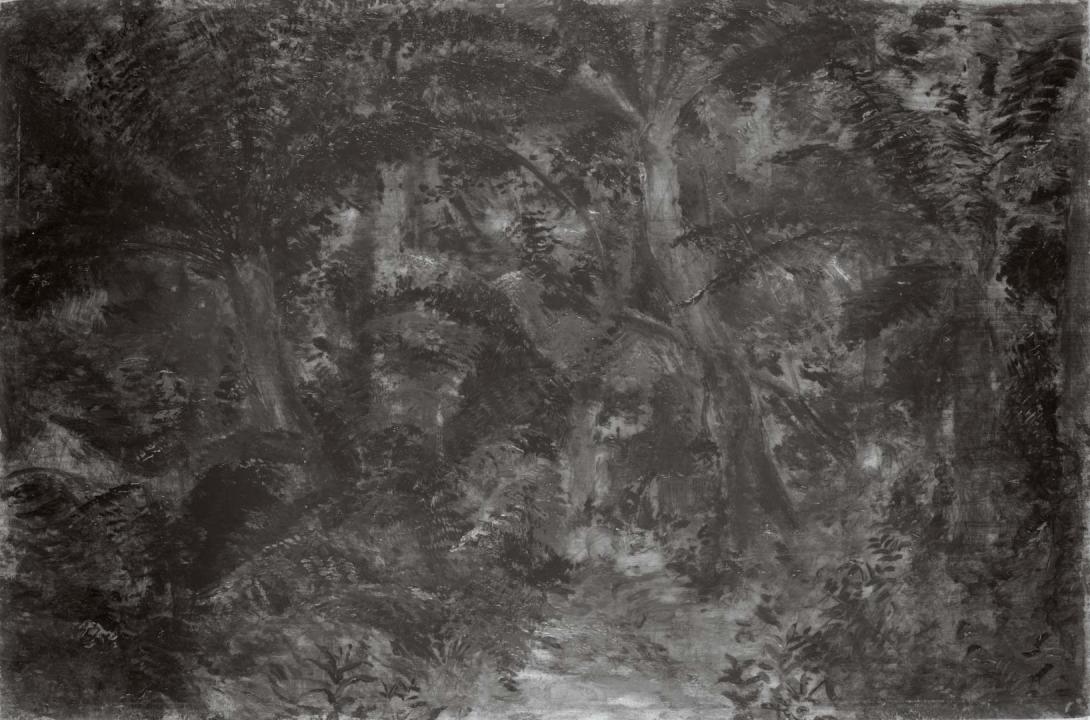 Slider: Near-infrared, A shady nook, Tamborine Mountain 1914 RIVERS, R. Godfrey