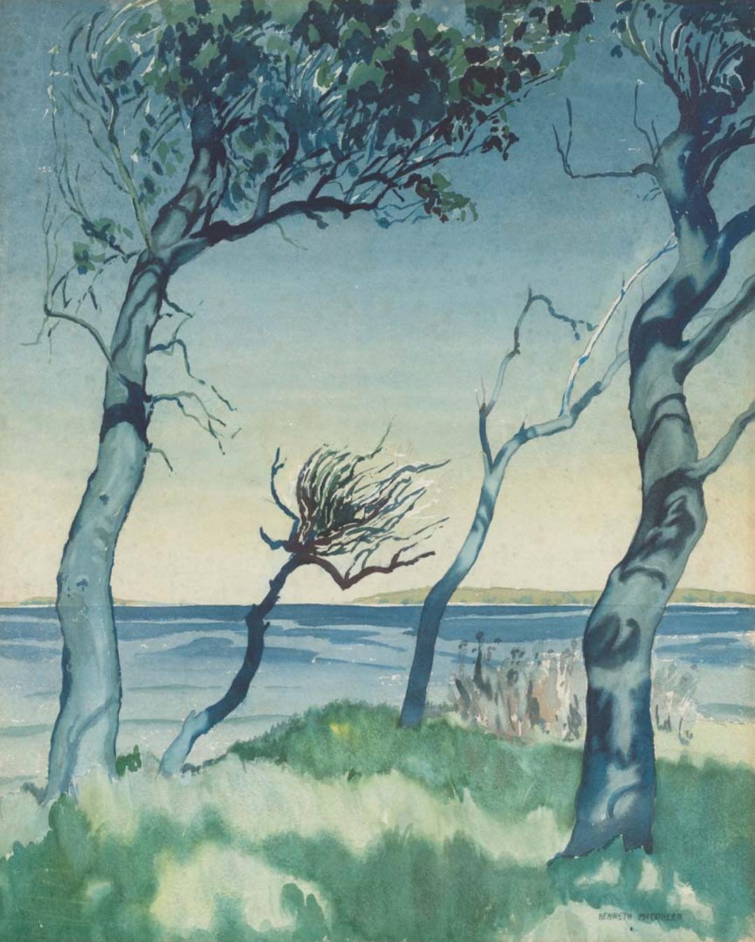 Slider: Raking light, Trees at Sunshine Coast c.1957 MACQUEEN, Kenneth