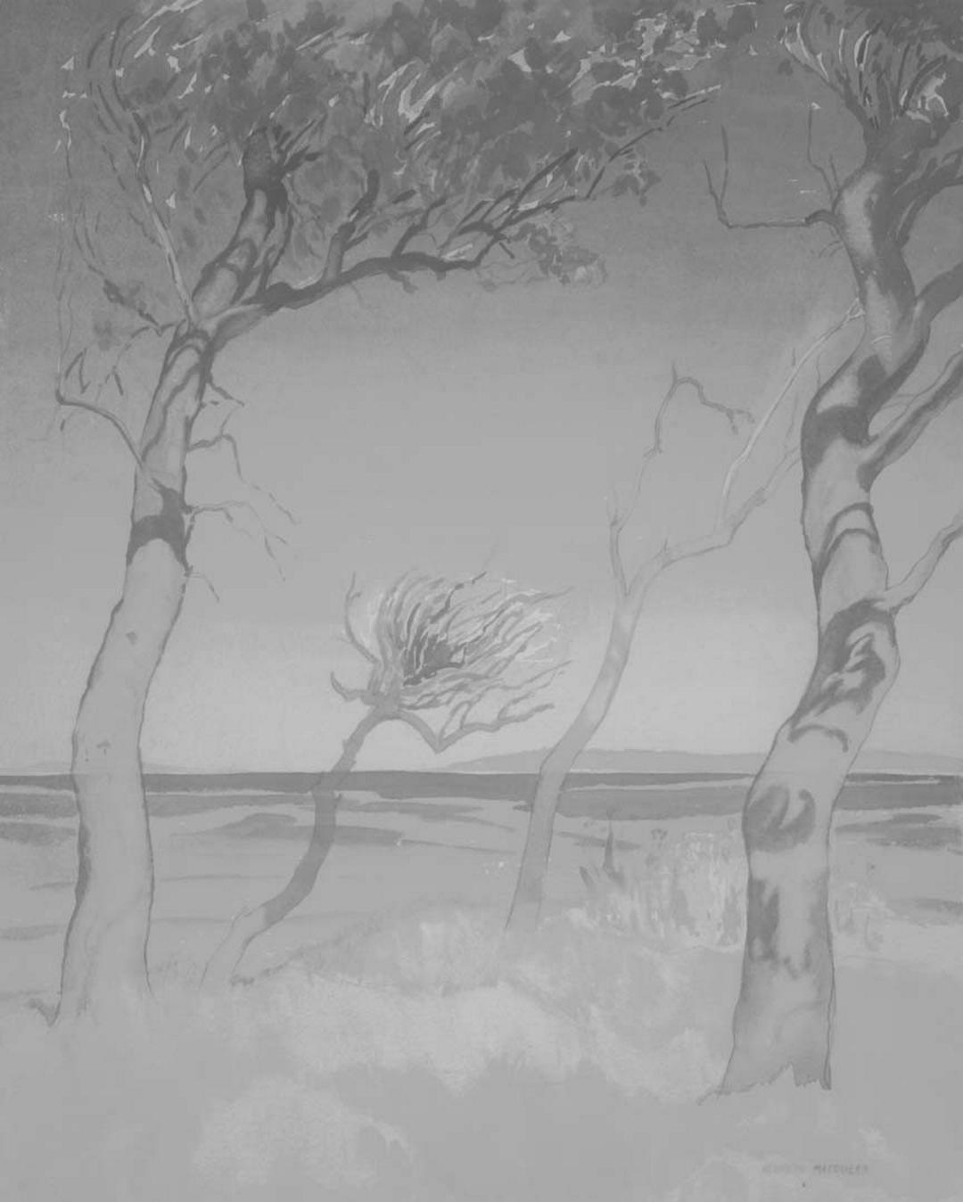 Slider: Near-infrared, Trees at Sunshine Coast c.1957 MACQUEEN, Kenneth