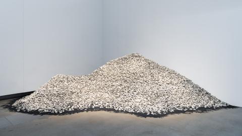 An installation view that appears as a large midden of white shells piled in front of a white gallery wall, in a corner.