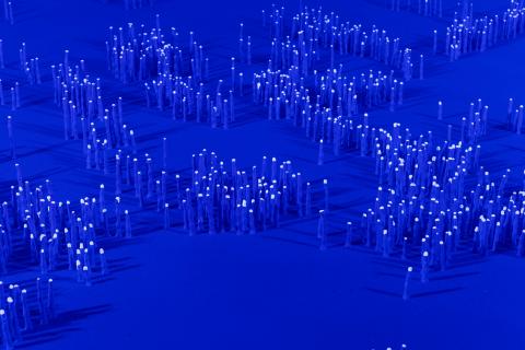 A detail view of an installation depicting luminescent coral-like sculptures in an electric-blue setting. 