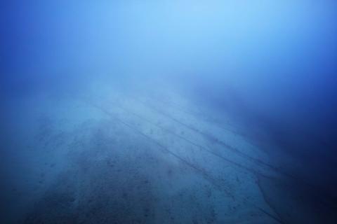 A still photograph taken underwater; the ocean floor is just visible through blue water.