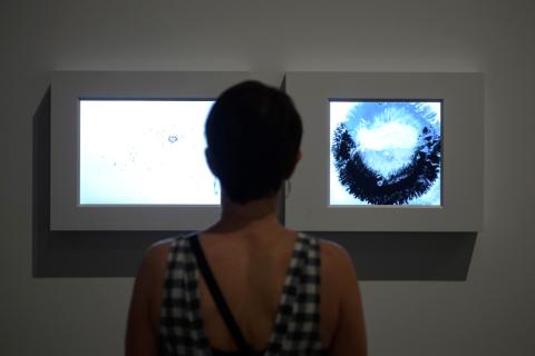 A Gallery visitor looks at two small, brightly lit screens showing video works.