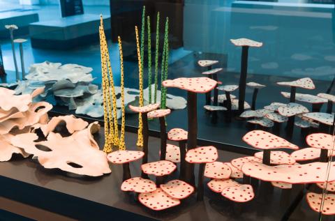 An installation view of a glass cabinet full of sculptural works that look like undersea corals or funguses.