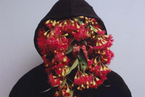 A detail view of a photograph in which a person wearing a black hoodie appears to have red gum flowers flowing from the 'face' of the hood.