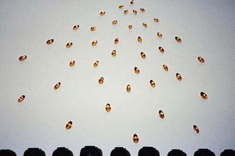 Lotus petals gilded with gold installed on a white gallery wall as part of the work Lotus Sound 1992 by Thai artist Montien Boonma