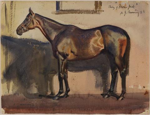 Artwork Study of 'Brown Jack' this artwork made of Watercolour and gouache over pencil on cardboard, created in 1931-01-01