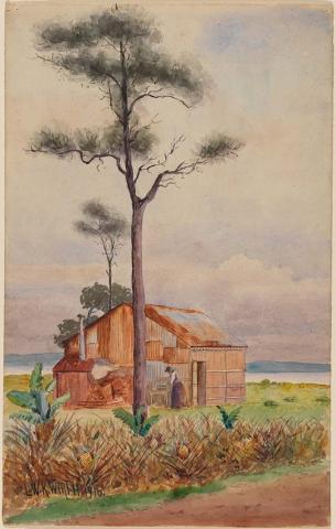 Artwork The shack this artwork made of Watercolour over pencil on wove paper, created in 1916-01-01