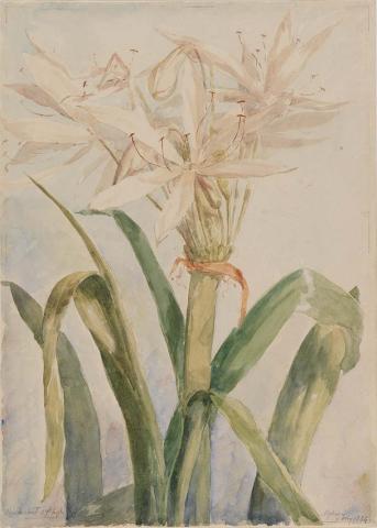 Artwork Ginger lillies this artwork made of Watercolour over pencil on wove paper, created in 1884-01-01
