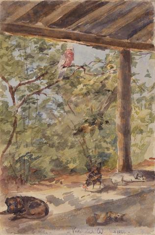 Artwork Verandah, outstation to Alpha this artwork made of Watercolour over pencil on wove paper, created in 1884-01-01