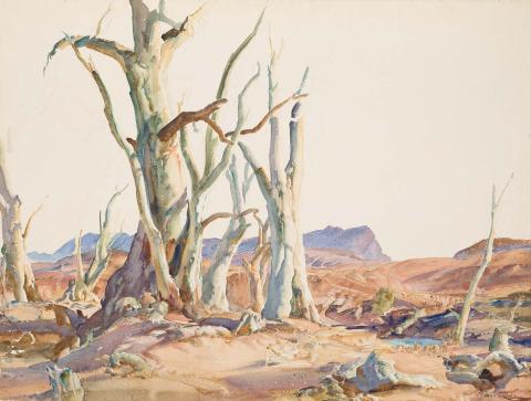 Artwork Gums in the Wonaka Creek, Flinders Range this artwork made of Watercolour over pencil on wove paper, created in 1965-01-01