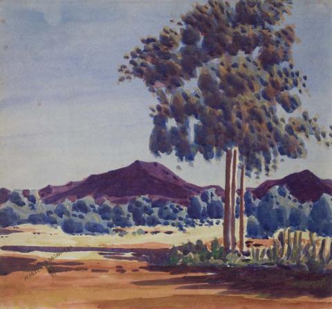 Artwork The three gums this artwork made of Watercolour over pencil on smooth wove paper, created in 1955-01-01