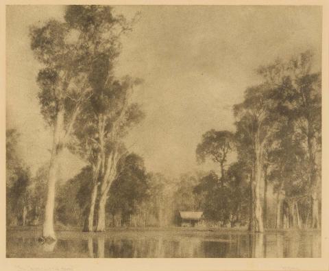 Artwork Tall trees, little house this artwork made of Bromoil photograph on paper, created in 1924-01-01