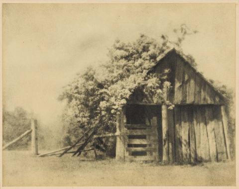 Artwork (Farm shed with a massed creeper) this artwork made of Bromoil photograph on paper, created in 1924-01-01