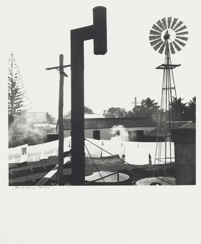Artwork Backyard, Forster this artwork made of Gelatin silver photograph on paper, created in 1940-01-01