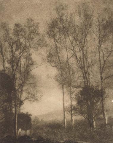 Artwork Autumn evening this artwork made of Bromoil photograph on paper on card, created in 1925-01-01