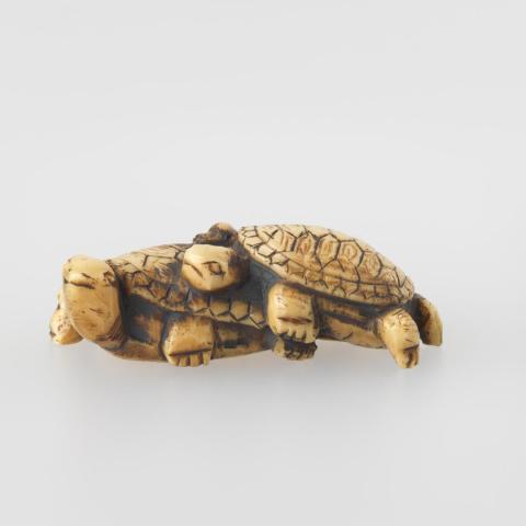 Artwork Netsuke:  (two tortoises) this artwork made of Carved ivory, created in 1800-01-01
