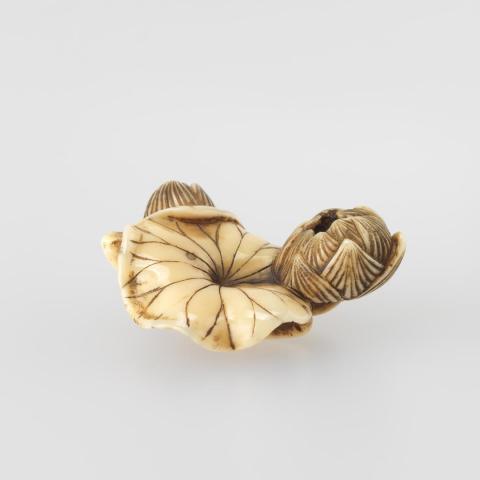 Artwork Netsuke:  (lotus flowers and leaf) this artwork made of Carved ivory, created in 1800-01-01