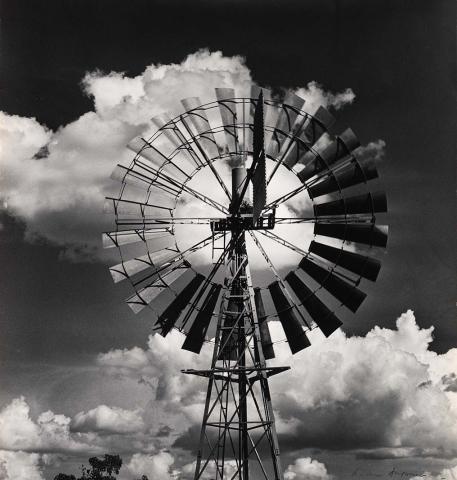 Artwork Windmill at 'Eurella', Queensland this artwork made of Gelatin silver photograph on paper, created in 1978-01-01
