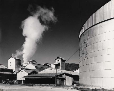 Artwork Sugar mill, unidentified, North Queensland this artwork made of Gelatin silver photograph on paper, created in 1950-01-01