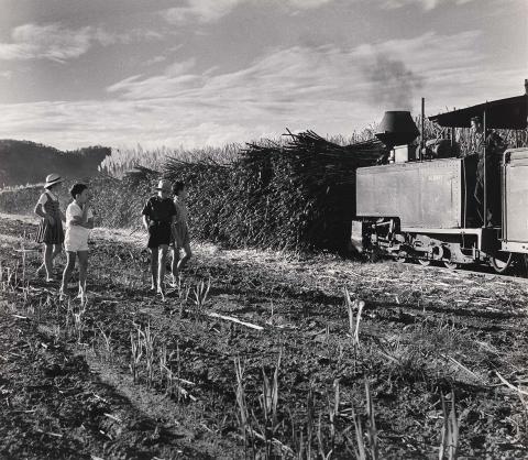 Artwork Children with cane train, Herbert River, Queensland this artwork made of Gelatin silver photograph