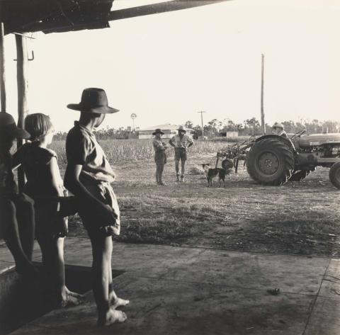 Artwork From tractor shed.  Pearce family, Queensland this artwork made of Gelatin silver photograph on paper, created in 1950-01-01