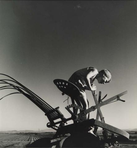 Artwork Boy on tractor, Queensland this artwork made of Gelatin silver photograph