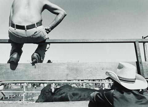 Artwork Rodeo riders, Carrara (from 'Journeys north' portfolio) this artwork made of Gelatin silver photograph on paper, created in 1986-01-01