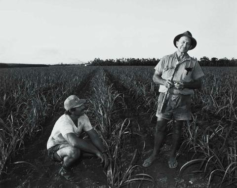 Artwork Frank Accatino, cane farmer, Moresby (from 'Journeys north' portfolio) this artwork made of Gelatin silver photograph on paper, created in 1986-01-01