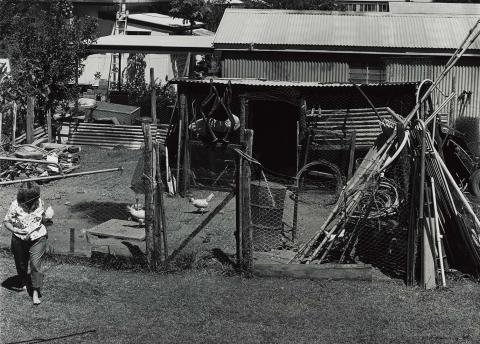 Artwork 27 December 1986, Ingham - Marlene had thrown some scraps to the chooks (from 'Journeys north' portfolio) this artwork made of Gelatin silver photograph on paper, created in 1986-01-01