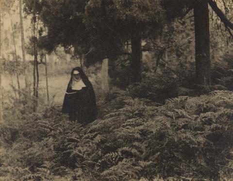 Artwork The cloistered wood this artwork made of Gelatin silver photograph on paper, created in 1902-01-01