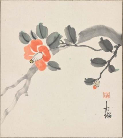 Artwork Shikishi:  (flowering camellia) this artwork made of Watercolour on card, created in 1900-01-01