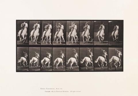 Artwork 'Dan' galloping, saddled (plate 634 from 'Animal Locomotion' album) this artwork made of Collotype on paper, created in 1887-01-01