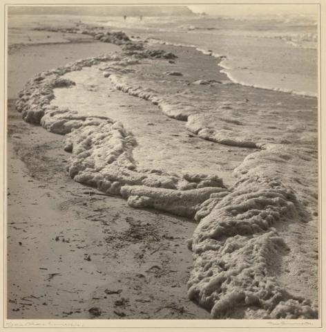 Artwork Seashore curves this artwork made of Gelatin silver photograph on paper, created in 1920-01-01
