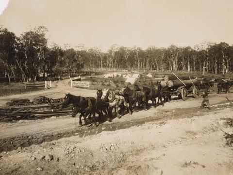 Artwork (Timber team, Yarraman) this artwork made of Gelatin silver photograph on paper, created in 1912-01-01