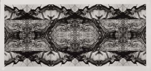 Artwork Totems of the North-West this artwork made of Gelatin silver photograph on paper, created in 1992-01-01