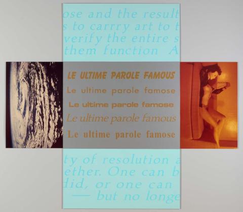 Artwork Temptation to exist (famous last words) this artwork made of Vinyl letters on enamel and laminated type C photographs on galvanized iron and aluminium, created in 1984-01-01