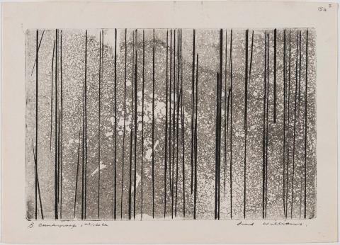 Artwork Sapling forest this artwork made of Aquatint, engraving and drypoint on paper, created in 1961-01-01