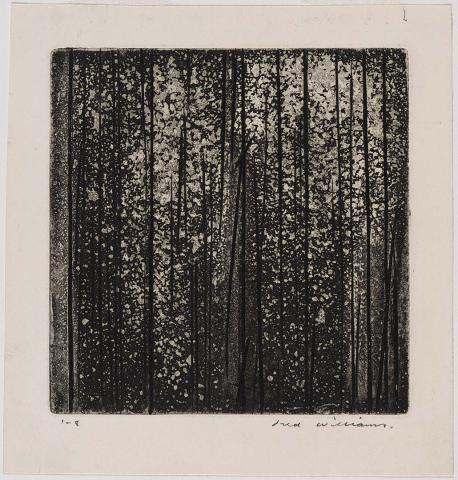 Artwork Sherbrooke Forest no. 2 this artwork made of Engraving and aquatint on paper, created in 1961-01-01