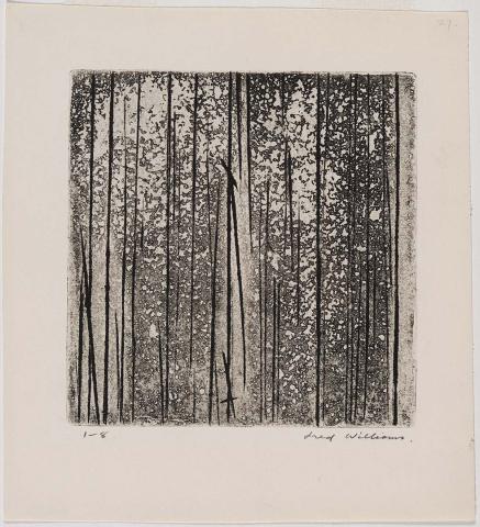 Artwork Sherbrooke Forest no. 2 this artwork made of Engraving and aquatint