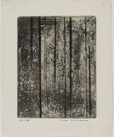 Artwork Sherbrooke Forest no. 5 this artwork made of Aquatint, drypoint, engraving and flat biting on paper, created in 1962-01-01