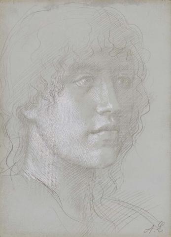 Artwork (Head of a youth) this artwork made of Metal point with opaque white on toned paper, created in 1855-01-01