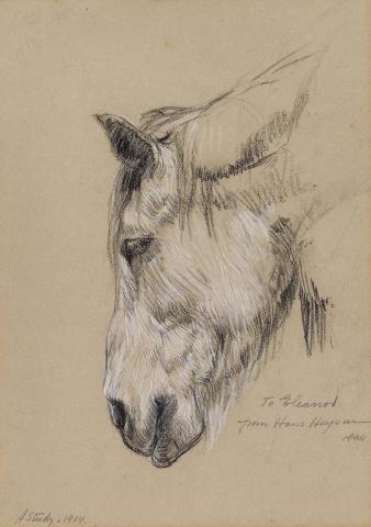 Artwork A study (horse's head) this artwork made of Black and white chalks on grey wove paper, created in 1904-01-01