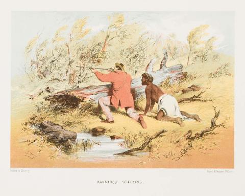 Artwork Kangaroo stalking (from 'The Australian sketchbook') this artwork made of Colour lithograph on smooth wove paper, created in 1865-01-01